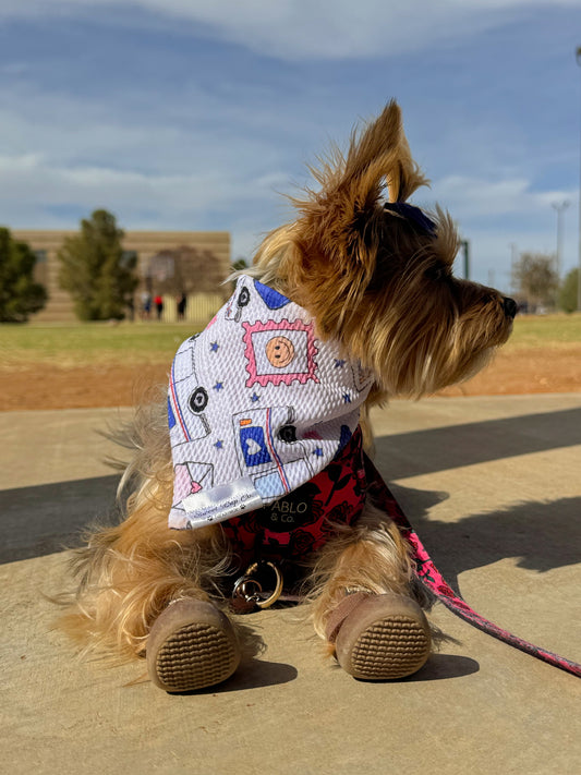 Postage pup