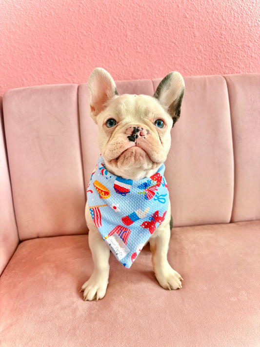PAWTY USA