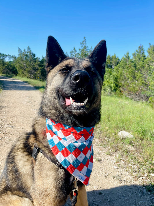 USA plaid
