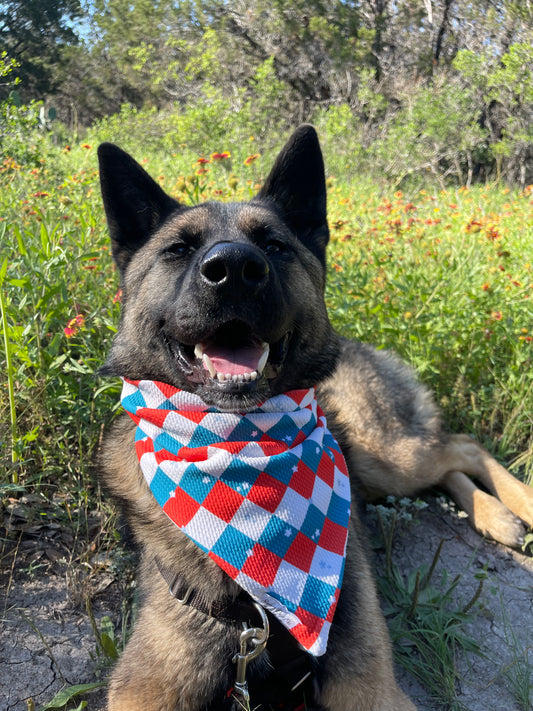 USA plaid